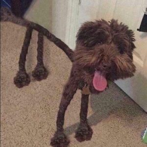 Meet your Posher, Monica